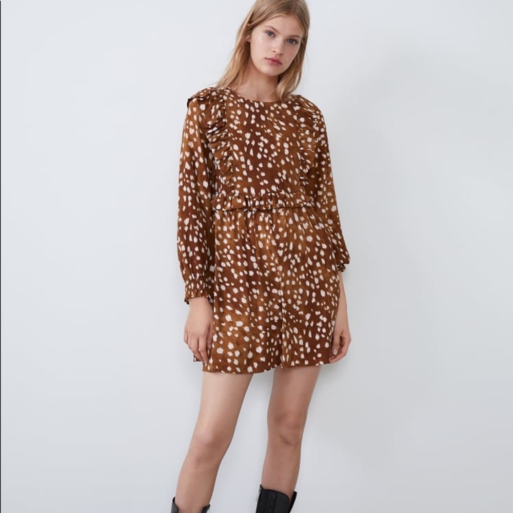 Zara Printed Dress with Frills